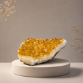 Cash Flow Activator Citrine